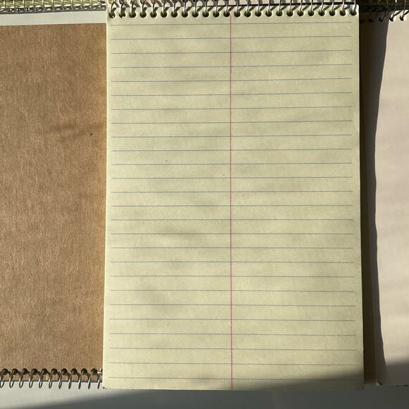 Tru Red 6" x 9" Green Gregg Ruled 80-Sheet Steno Pad - Picture 2 of 6